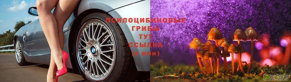mdpv Володарск